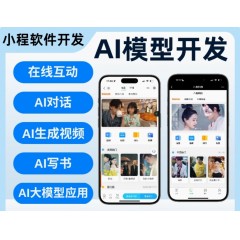ai大模型应用软件开发训练人工智能对话绘画3D数字人软件定制开发